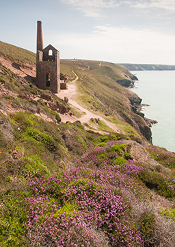 Wheal Coates 091_0351