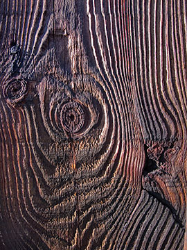 WoodGrain G009_0457