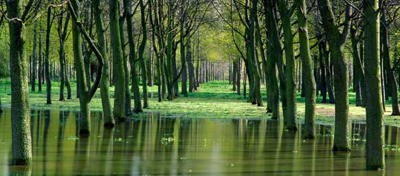 Woolstone Flood 392_13