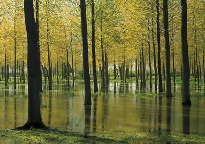 Woolstone Flood 326_01