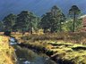 Buttermere Stream 307_06