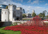 Ceramic Poppies