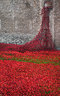 Ceramic Poppies