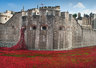 Ceramic Poppies