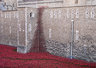 Ceramic Poppies