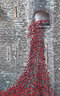 Ceramic Poppies