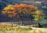 Crummock Water 417_06