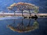 Crummock Water 378_01