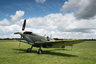 Spitfire