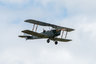 Tiger Moth