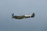 Spitfire