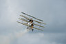 Sopwith Triplane