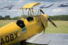 Tiger Moth