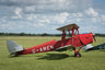 Tiger Moth