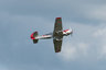 YAK-50