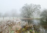 FrostyPond 119_0039