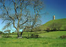 Glastonbury Tor 258_03