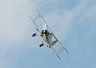 Gloster Gladiator