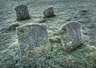Gravestones 118_0498_tm