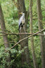 Heron_D810_011_0598