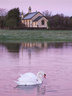 HolyTrinitySwan G135_3358