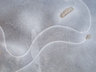 Ice Patterns