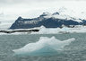 Jokulsarlon 0156