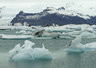 Jokulsarlon 0171