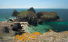 Kynance Cove