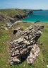 Kynance Cove