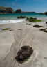 Kynance Cove