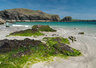 Kynance Cove