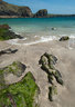 Kynance Cove