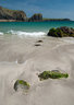 Kynance Cove