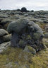 Lava Fields 0055