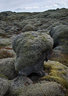 Lava Fields