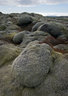 Lava Fields 0060