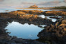 Bamburgh Castle