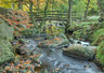 Padley Gorge