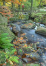 Padley Gorge