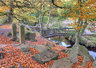 Padley Gorge