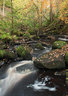 Padley Gorge