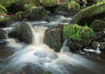 Padley Gorge