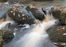 Padley Gorge