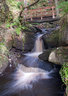 Padley Gorge