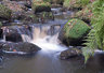 Padley Gorge