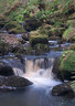 Padley Gorge