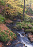 Padley Gorge