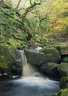 Padley Gorge