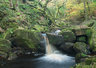 Padley Gorge